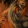 025-tigerfriend.jpg